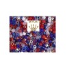 Mix-Délica Miyuki 11/0 July-Bleu-blanc-rouge