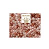 Mix-Délica Miyuki 11/0 coral shell sea