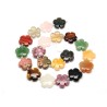 Fil de 27 perles Fleurs 15mm en pierre naturelle-Mélange-42cm