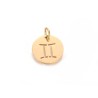 Pendentif signe du zodiaque Gémeaux 12mm inox doré
