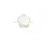 Perle petite fleur en nacre 6mm-Blanc x 6