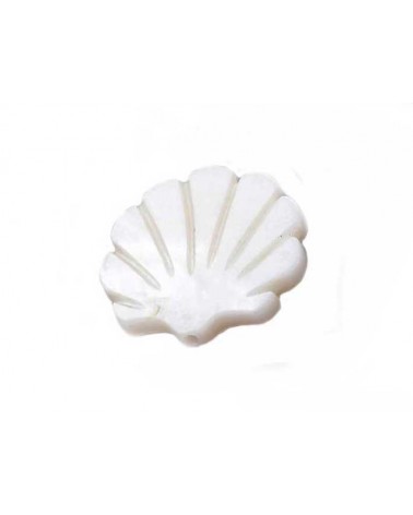 Perle coquille saint jacques 18x19mm en nacre-Blanc