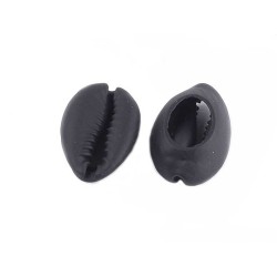 Coquillage cauri 24 à 27mm Noir x1