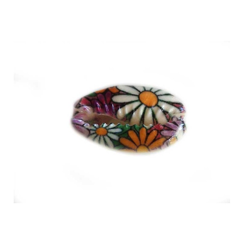 Coquillage cauri 20x14mm fleuri marguerite-Multicolore