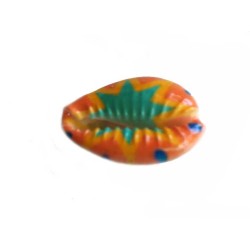 Coquillage cauri 20x14mm-Etoile-Multicolore