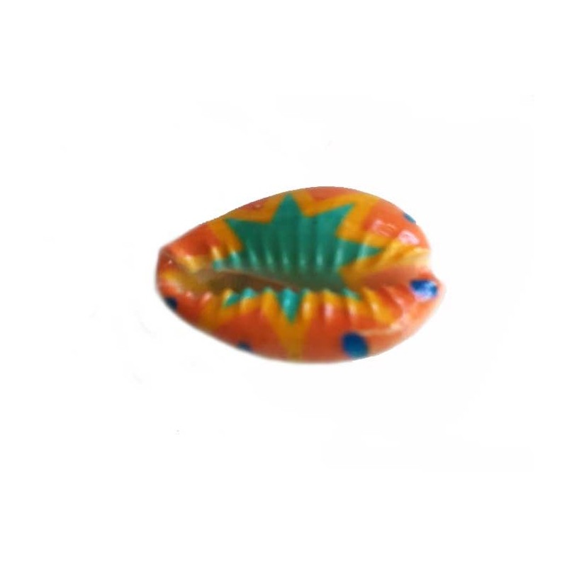 Coquillage cauri 20x14mm-Etoile-Multicolore