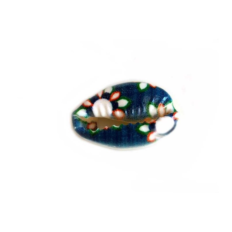 Coquillage cauri 20x14mm-Multicolore-Bleu