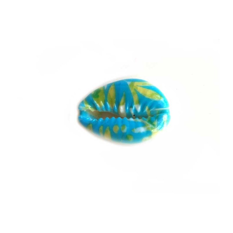 Coquillage cauri 19x12mm-Turquoise