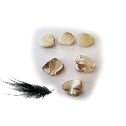 Pépite coquillage16-22mm nacré blanc X 1