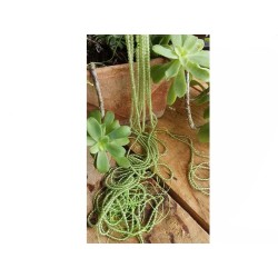 Fil de perles en Péridot 2mm-39cm