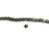 Hématite Grade A étoile noire 10x2 mm  x 5