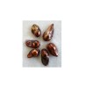 Perles baroques d'eau douce CUIVRE x 5
