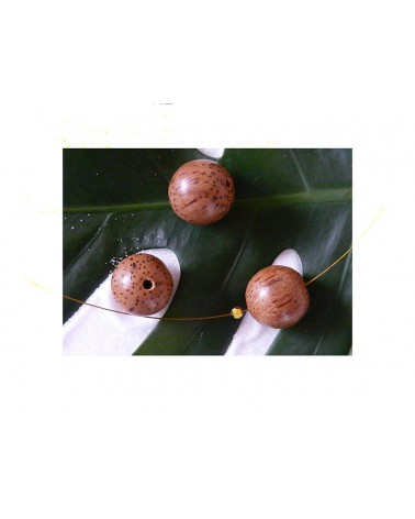 Palmier perle bois exotique marron 20mm X 1