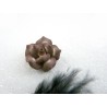 Rose Fimo 20mm Marron et Beige X 1
