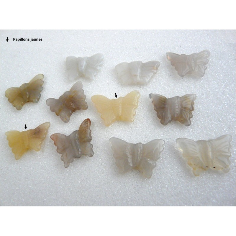 Papillon en Agate 20x16mm-au choix- X 1