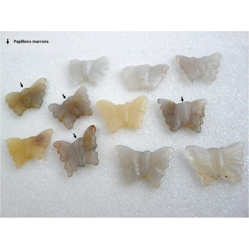 Papillon en Agate 20x16mm-au choix- X 1