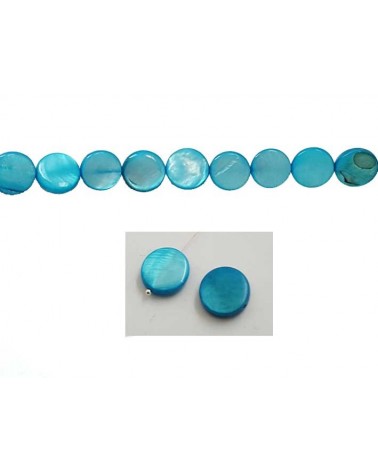 Palet Nacre 12mm Turquoise X5