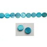 Palet Nacre 12mm Turquoise X5