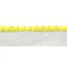 Ronde Oeil de chat 4mm Jaune X 20