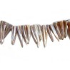 Pointe coquillage nacré beige doré X 5