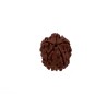 Graine Rudraksha perle 5 faces17-20mm Marron