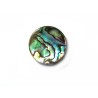 Abalone cabochon 13mm X1