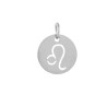Pendentif signe du zodiaque Lion12mm inox X1