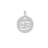 Pendentif signe du zodiaque cancer12mm inox X1