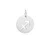 Pendentif signe du zodiaque sagittaire12mm inox X1