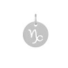 Pendentif signe du zodiaque capricorne12mm inox X1