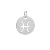 Pendentif signe du zodiaque poissons12mm inox X1