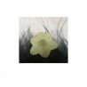 Fleur Acrylique 16X12mm jaune X 4