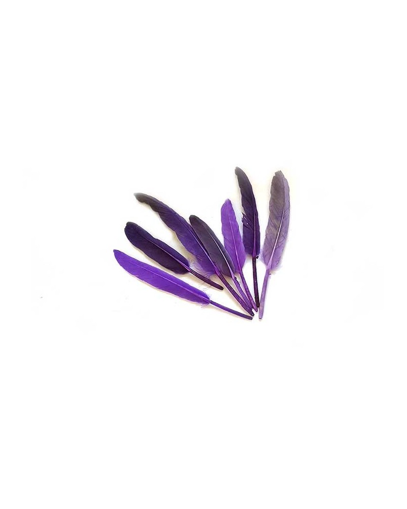 Plume d'oie 100-150mm Violet X3