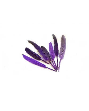 Plume d'oie 100-150mm Violet X3