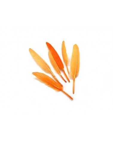 Plume d'oie 100-150mm Orange X3