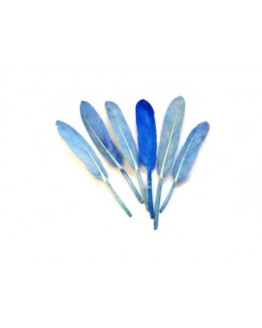 Plume d'oie 100-150mm Bleu X3