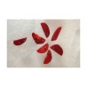Tranche corail 10-15mm rouge x5