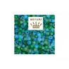 Mix Délica Miyuki 11-0 Luminous mermaid waters x2g