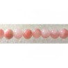 Jade persan 6mm rose x15