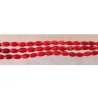 Corail bambou riz 6x5mm rouge x 15