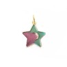 Pendentif étoile 23x20mm émail vert violet x1