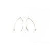 Crochets d'oreilles ellipses 41mm inox x 2