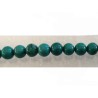 Turquoise du xinjiang 8mm vert x10