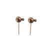 Clous d'oreilles boule 5mm et anneau bronze x2