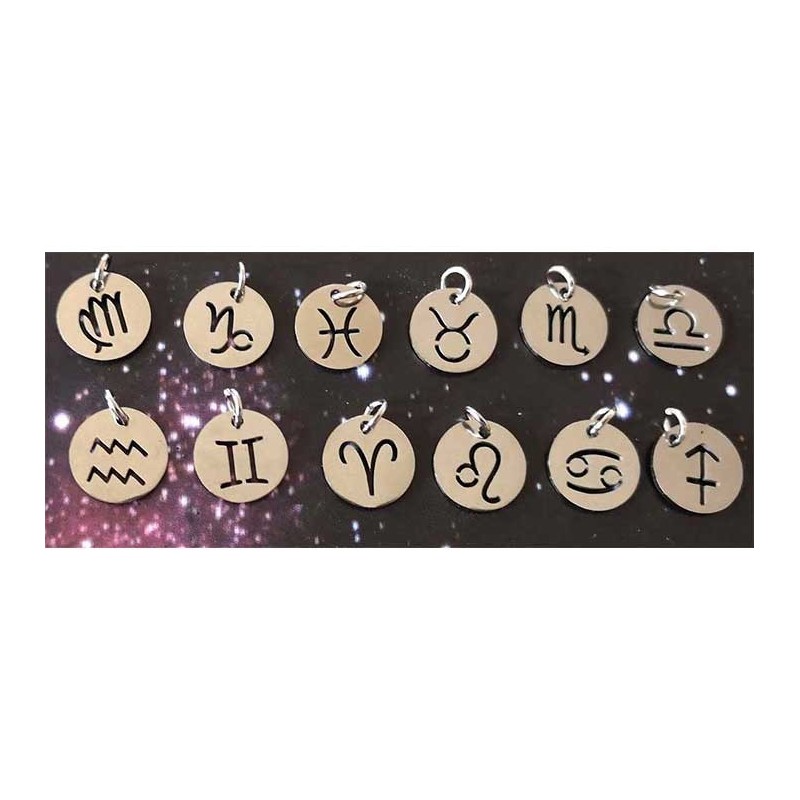 Pendentif signe du zodiaque Gémeaux 12mm inox X1