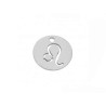 Breloque signe du zodiaque Lion 12mm inox X1