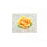 Rose Fimo 10x6mm orange clair  X 1