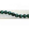 Malachite naturelle 8mm vert x10