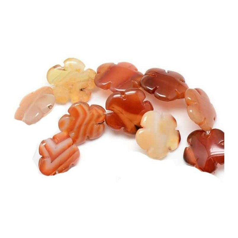 Fleur en agate 16mm beige à rouge  x1