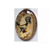 Cabochon l'oiseau roi en verre 40x30mm x1